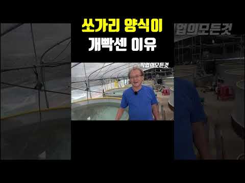 쏘가리 양식이 개 빡센 이유
