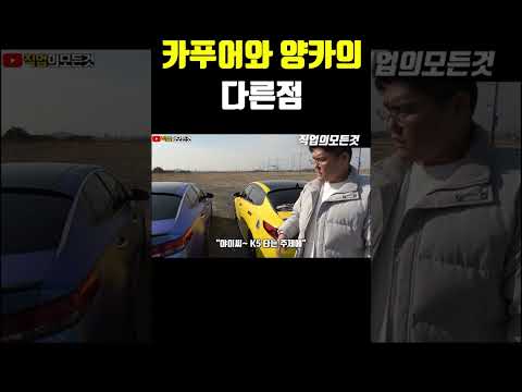 카푸어와 양카의 다른점