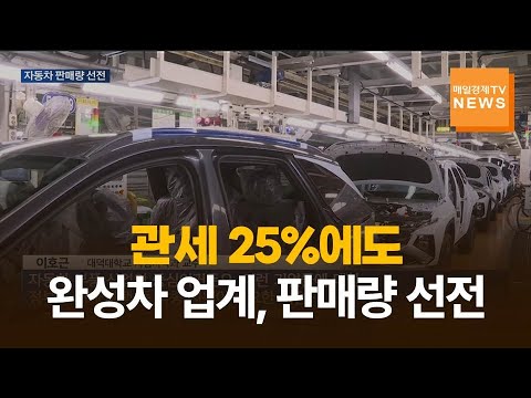 관세 25%에도…완성차 업계, 9월 판매량 선전