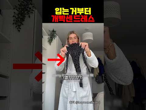 입는 거 부터 개빡센 드레스