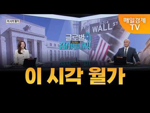 [글로벌 증시 투나잇] 이 시각 월가 / 황윤석 타이거인베스트 대표