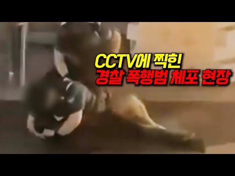 와..미쳤다경찰을 폭행한 스트리트 맨 파이터가 있다고??? CCTV에 포착된 범죄 행각을 분석하는 코멘터리 쇼 몰아보기