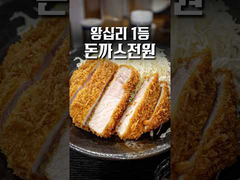 요즘 이런 돈까스 찾기 진짜 힘듭니다, 근데 너무 맛있네요 #shorts #맛집