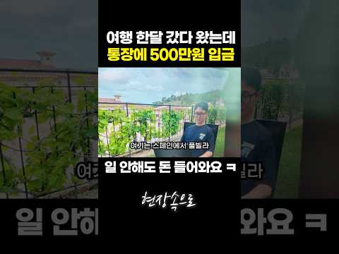 여행 한달 갔다 왔는데 통장에 500만원 입금되는 부업