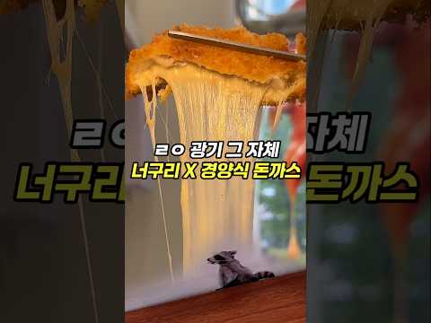 돈까스든 너구리든, 하나만 좋아해도 무조건 가야 하는 집
