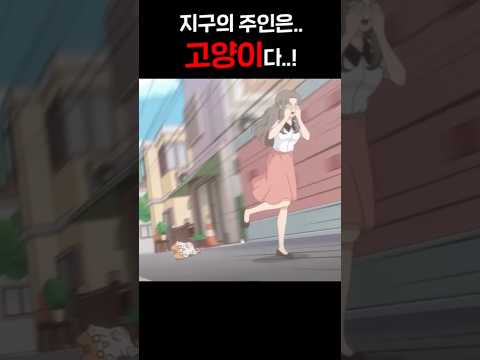 지구의 주인이 고양이인 이유 ㅋㅋㅋㅋㅋㅋㅋㅋㅋ