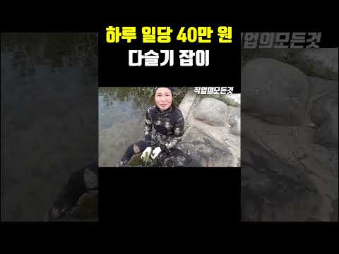 하루 일당 40만 원 다슬기 잡이