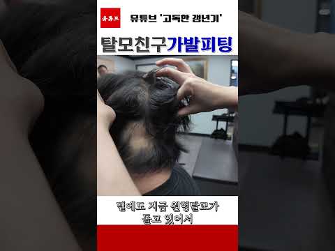 고릴라의 탈모 친구 등장?!