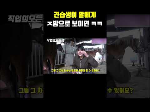 견습생이 말에게 ㅈ밥으로 보이면 ㅋㅋ