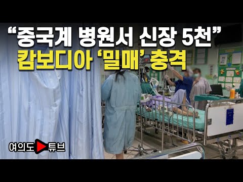 [여의도튜브] "중국계 병원서 신장 5천" 캄보디아 '밀매' 충격 / 머니투데이방송
