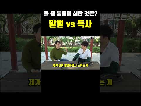 둘 중 통증이 심한 것은? 말벌vs독사
