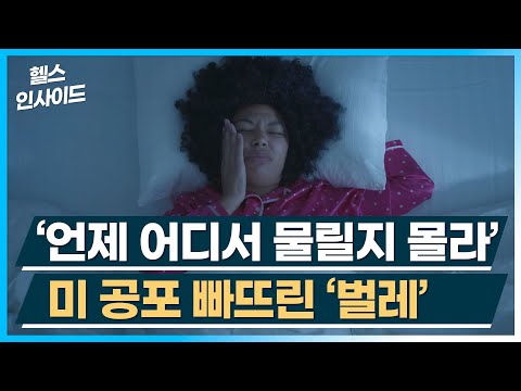 [헬스인사이드] ‘언제 어디서 물릴지 몰라’ 미 공포 빠뜨린 ‘벌레’ / 머니투데이방송