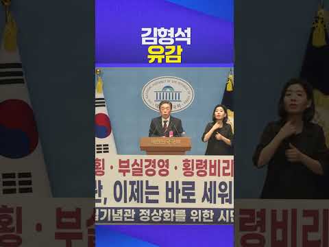 민주당 유감 #김형석