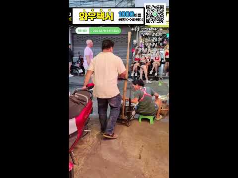 태국 파타야 극성수기 한국형들이 없네요 https://op.opparadise.com/data/apms/video/youtube/hDqkGVL4qv4.jpg 태국 파타야 극성수기 한국형들이 없네요