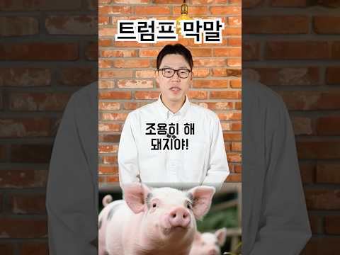 조용히 해 돼지야! #trump #트럼프 https://op.opparadise.com/data/apms/video/youtube/hGLE1GYgA_k.jpg 조용히 해 돼지야! #trump #트럼프