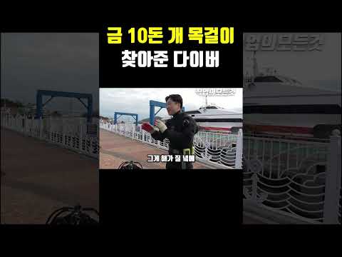 금 10돈 개 목걸이 찾아준 다이버