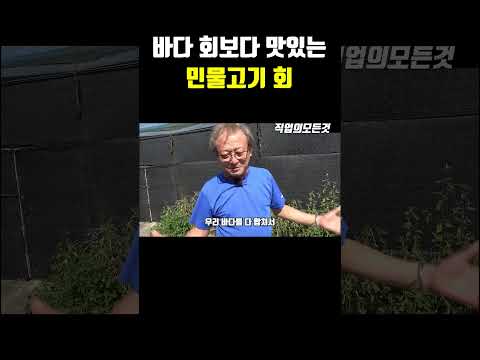 바다 회보다 맛있는 민물고기 회