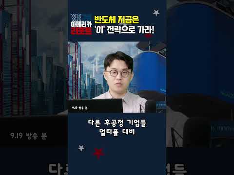 [매아리] 반도체 지금은 '이' 전략으로 가라!