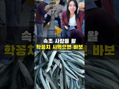 속초에서 학꽁치 사먹으면 진짜 바보라고요?