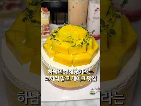 하남의 성심당급 망고 케이크 시즌 플레버