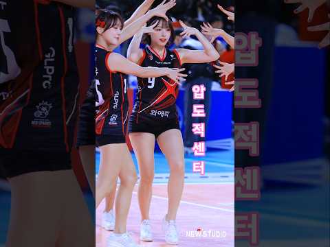 " 압도적 비주얼 센터 표본 " 251112 하지원 치어리더 직캠