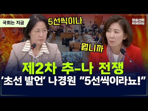 제2차 추-나 전쟁 발발! ‘초선 발언’ 나경원 “5선씩이라뇨!” | 법제사법위원회 검찰개혁 공청회-2025년 9월 4일