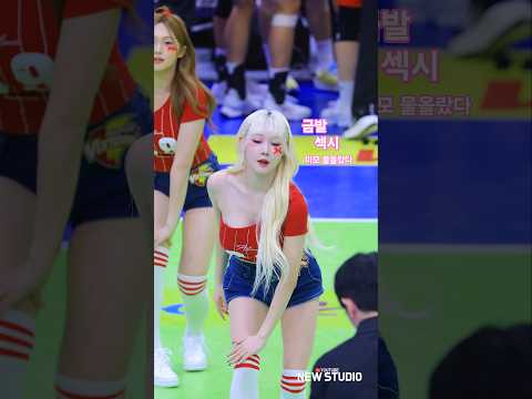 " 내년 기아의 미래는 이분이십니다. " 251106 한지은 치어리더 직캠