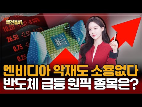 엔비디아 악재에도 반도체 상승은 막지 못한다! 반도체 급등주 원픽은?