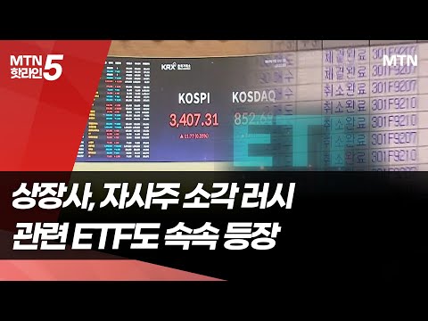 상장사, 자사주 소각 러시… 수혜주 노린 ETF도 등장 / 머니투데이방송 (뉴스)