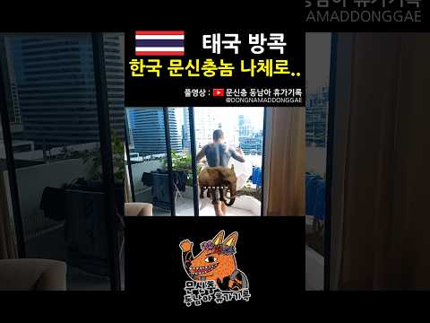 망신.. #태국 #방콕 #동남아 #여행