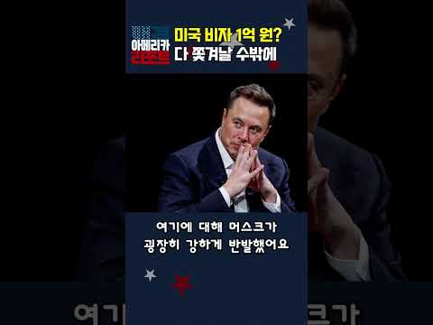 [매아리] 미국 비자 1억 원? 다 쫓겨날 수밖에