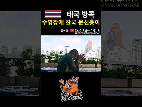 염병하네 #태국 #방콕 #동남아 #여행