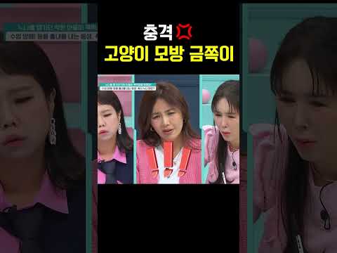 고양이처럼 울고 기어 다니는 금쪽이  모두 경악 #금쪽같은내새끼
