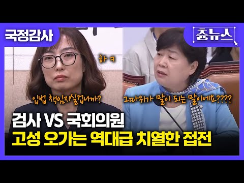 국감장 국회의원에게 밀리지 않는 검사의 등장!!?? 검사VS국회의원.. 승자는? #검사 #국회의원 #서영교