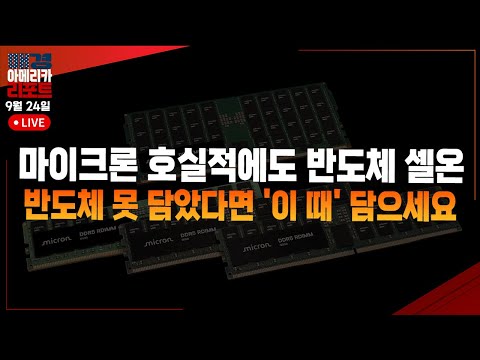 [매아리] 엔비디아 애플 4% 상승 미 증시 또 사상 최고치 | 유사남 미국주식전문유튜버, 김태윤 MBN골드 매니저