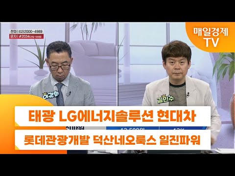 [친절한 종목상담 4989] 태광 LG에너지솔루션 현대차 롯데관광개발 덕산네오룩스 일진파워