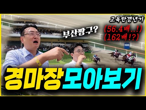 56.4배 적중?? 고독한갱년기 경마특집 모아보기