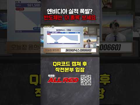 엔비디아 실적발표 임박! 반도체주 괜찮을까?