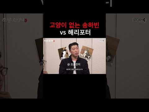 고양이 없는 송하빈  vs 해리포터