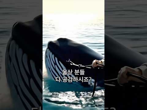 환상의 지상도시 울산