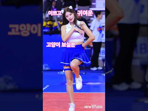 " 드디어 제대로 찍었다!! " 빌려온고양이예빈!!! 251114 https://op.opparadise.com/data/apms/video/youtube/qe-yPnLGLZA.jpg " 드디어 제대로 찍었다!! " 빌려온고양이예빈!!! 251114