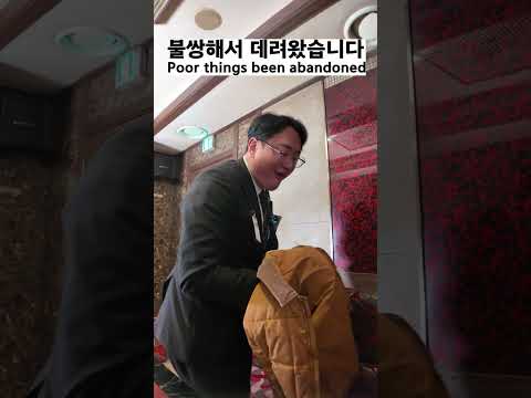 너무 불쌍해서 데려왔습니다 #술 #나이트 #먹방 #유머