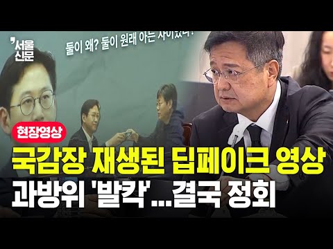 국감장 재생된 딥페이크 영상에 과방위 '발칵'...결국 정회
