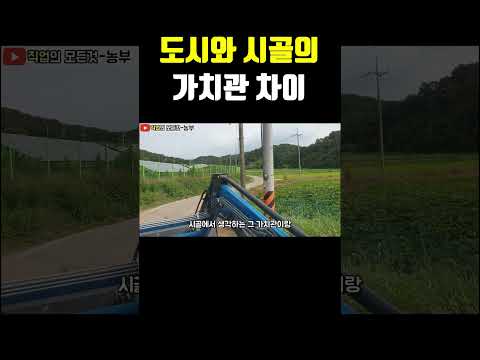 도시와 시골의 가치관 차이