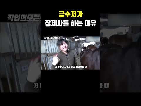 금수저가 장제사를 하는 이유