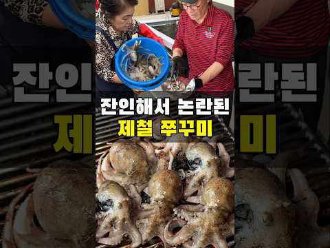 너무 잔인한 쭈꾸미라 논란이라고요?
