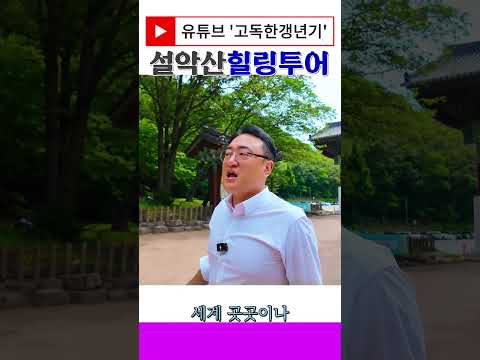 고릴라 설악산힐링투어