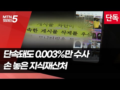 [단독] 아무리 팔아도 0.003%만 수사…손 놓은 지식재산처 ['짝퉁' 공화국 ②] / 머니투데이방송 (뉴스)