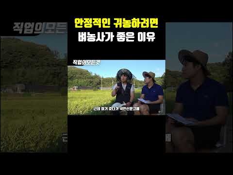 안정적인 귀농하려면 벼농사가 좋은 이유