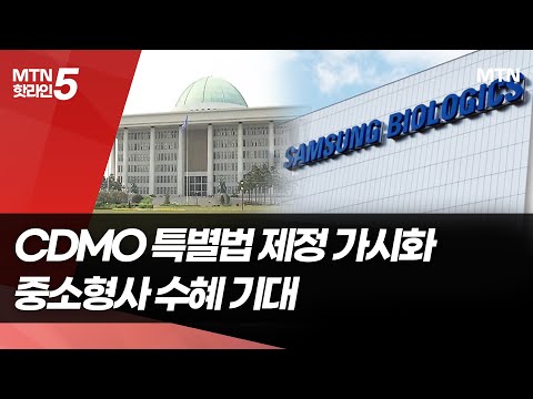 'CDMO 특별법' 제정 가시화…중소형 제약·바이오사 수혜 기대 / 머니투데이방송 (뉴스)